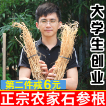 Hakka wild stone ginseng root Fujian Tiger tail wheel Meizhou native natural Chinese herbal medicine Guangdong soup material 500g