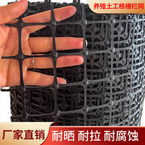 Plastic mesh Breeding net fence Chicken geogrid Rodeo protection net Chicken and duck manure leakage hole plastic mesh net