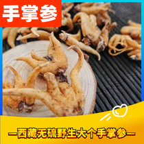 Tibetan specialty hand palm ginseng large Tibetan Palm ginseng Wangla hand ginseng dried bergamot 250g