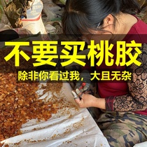 Peach gum one catty Yunnan natural wild special flagship store 500g non-impurity snow swallow soap and Rice combination