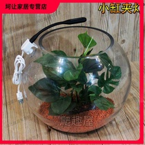 New clip lamp small lighting round cylinder clamp lamp spherical cylinder landscape lamp setting light usb fish tank