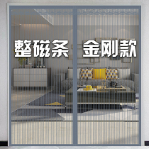 King Kong mesh anti-mosquito door curtain summer partition curtain Anti-fly self-priming velcro full magnetic stripe large yarn silent encryption root