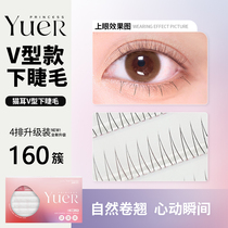 Moon Princess V type of eyelash 4 rows mixed single cluster cartoon fairy hair supernatural simulation cat ear false eyelash