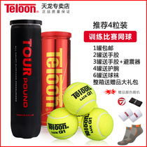 Teloon Tianlong Tennis pound Professional Competition Tennis Beginners Advanced Training Tennis Practice Ball Canned