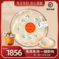 Ji Yan is stewed birds nest dry cup Malaysian dry goods Birds Nest pregnant swallow gift box traceability code 32