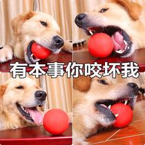 Kitten dog bite cant break the ball Silicone elastic ball Big Dog side herding ball toy Teddy Xuena