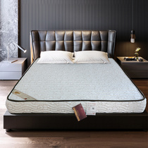Kirin Home Children Mattoo Mat Tatami Mat Environmentally friendly Coconut Brown 6 cm Thick Pass Mini 520