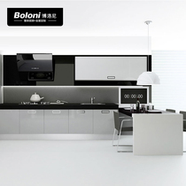 Boloni true color cabinet modern simple atmosphere light luxury series hot sale classic style details consultant