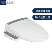 GROHE sanitary products imported toilet cover intelligent toilet cover 39384L00