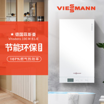Fiisman imported first-class energy efficiency condensing gas wall-hung boiler B1LA-35KW built-in 46L hot water storage tank