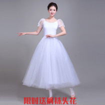 y ballet skirt adult adult female exercise table performance chorus dress dress foam sleeve long white swan Special