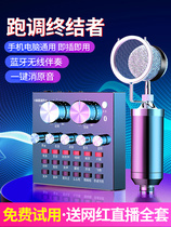Desktop tuning singing shrimp microphone sound card full set of ktv TV professional live sound card home anchor v8