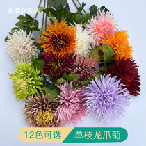 Single dragon claw chrysanthemum simulation flowers crab claws fake flowers home living room decoration flower silk flower ornaments decoration floral art