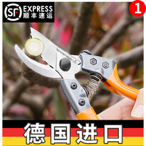 German imported fruit tree scissors garden pruning gardening scissors rough cutting branches special scissors pruning shears