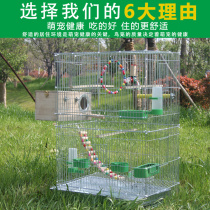 Bird cage Parrot cage Deluxe large villa Bird cage Parrot cage Large parrot bird cage Budgerigar bird cage