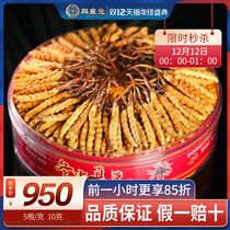 (10 grams gift box) first period specialty dry goods Cordyceps sinensis fresh East Cordyceps 50 gift boxes