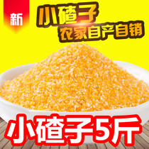 Northeast small-scale farmers small corn ballasts non-genetically modified corn residue stubble corn stubble corn 5kg