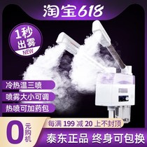 Taidong hot and cold sprayer beauty instrument hydrating open pores detoxification steamer nano beauty salon special double spray