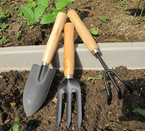 Three-piece set of shovel rake transplant tools gardening supplies household potted flowers and vegetables loose soil tools