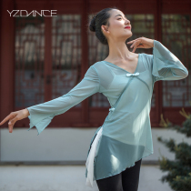 Yingzi classical dance body rhyme practice uniform dance dress dance gauze elegant modern ethnic performance basic training mesh long sleeve female