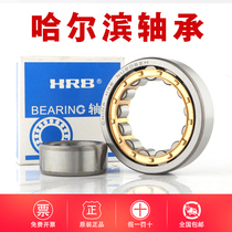 Harbin Cylindrical Roller Bearings N NJ NU 1004 1005 1006 1007 1008 1009 EM
