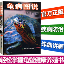 Turtle disease diagram Turtle breeding books Turtle Daquan Turtle breeding books Li Yi money turtle Ambu closed shell turtle Money Turtle Turtle turtle breeding books Daquan Turtle breeding technology books Efficient breeding and raising turtle disease books