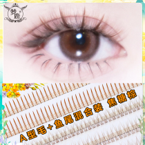 Dream Deer (Send Glue Tweezers) False Eyelash Brown Caramel A Type Fairy Hairy Tail Mixed Single Tuft Hair