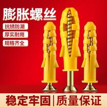 Ring self-tapping curtain small yellow croaker expansion tube screw outer hexagonal installation stairs built-in 10mm removal wood screws