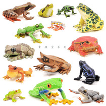 Frog full series tree frog forest frog poison dart frog simulation forest wildlife model toy amphibian reptile