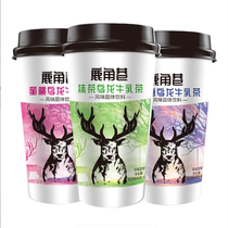 Lujiao Lane Milk Tea Milk Tea 6 cups Bubble Cup Black Sugar Deer Milk Tea Powder Hong Kong-style net red hand-cranked drink