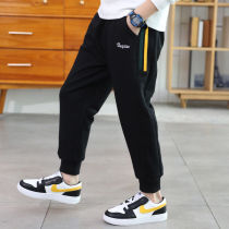 Boy pants childrens clothing trousers 2020 new childrens leisure childrens spring and autumn pants Korean version of velvet pants foreign gas