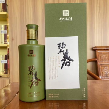 茅香型53度纯粮酱香酒天朝川龙马精神500ML*1 白酒_白酒- 名优