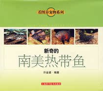 Genuine New South American Tropical Fish 9787532386277 Shanghai Science and Technology Press Xu Jin