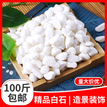 100kg pure white stone stone size goose soft pebble courtyard paving landscape withered landscape small white stone