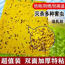 Insecticide stick armyworm board Stick board Orchard greenhouse Pest control stick flying insect paper armyworm board Vegetable garden vegetable pest Tea