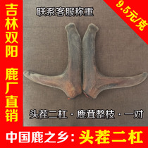 Dry Antler Whole Branches Stubble Stubble Two Bars A Pair Of Jilin Mayflower Deer Whole Root Whole Only Whole Northeast Biyang Deer Township Bubble Wine