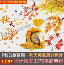 Autumn yellow deciduous maple leaves Autumn autumn golden red leaves illustration PNG free button figure PS design material