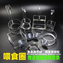 Fish tank floating feeding circle tube Aquarium Acrylic transparent fish feeder barrel hook suction cup feeding fish food anti-drift