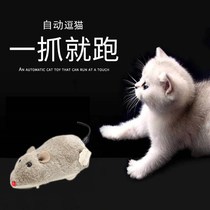 Cat toy little mouse clockwork plush cat toy simulation electric remote control mouse kitten self-Hi funny cat
