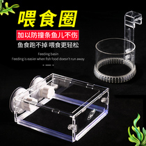 Fish tank l dual-purpose acrylic fish food feeding ring anti-floating feeder feeding ring Best Thai aquarium