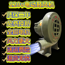 Blower 220V powerful small household fire burning stove blowing barbecue electric wood stove high power stove