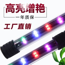  Colorful angelfish light Colorful fish special led fish tank light Pigeon Fuji Tianzi blue spider master T