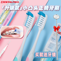 Japan Dantebo orthodontic toothbrush convex orthodontic tooth special small-head soft toothbrush children adult hoop braces