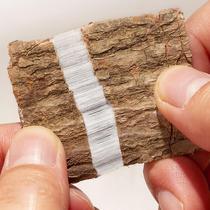 Eucommia ulmoides tea Chinese herbal medicine wild special grade 500g slices fried du swollen bark male flower moon powder Morinda officinalis soaking wine