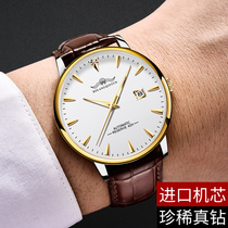 Swiss Wave Qin Yun joint top ten brand watches Mens watches Mechanical watches Waterproof luminous honey-colored Yiren