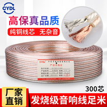 Pure copper sound box wire horn wire fever grade cable special wire professional sound cable 300 2*150 core