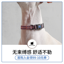  KittyYoyo basic dog collar Dog collar neck ring Cat collar collar traction rope Small dog