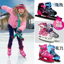 Black Dragon Speed Skating Skate Shoes Figure Knife Ball Knife Adult Skate Skates Thickening and Warm High Men and Women