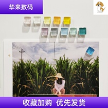 Thread pins pin INS rainbow candy Cork message board I-shaped nail felt Photo Wall 24 flat head decorative nails