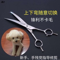 Dog hair trimming scissors Teddy beauty scissors cat up and down scissors pet shearing tools than bear Bomei teeth